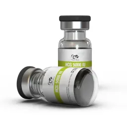 HCG 5000IU Dragon Pharma, Europe HCG 5000IU Dragon Pharma, Europe