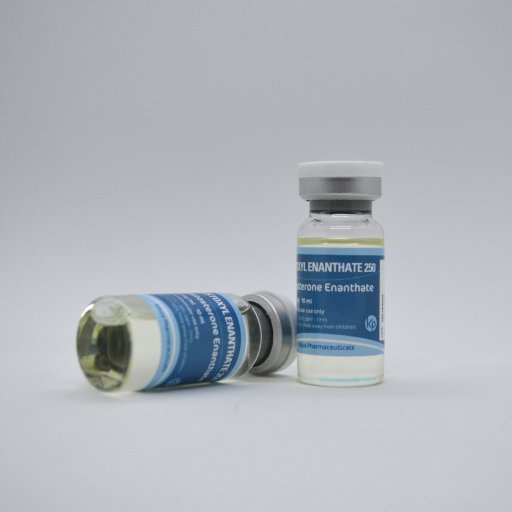 Testoxyl Enanthate 250 Kalpa Pharmaceuticals LTD, India